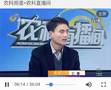 怎么保證長毛兔冬季的繁殖工作呢？