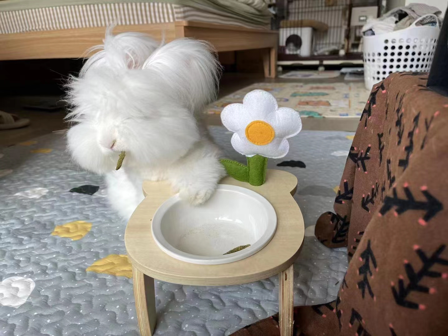 2bcd4e34-c19d-4287-9267-e0ef91bf77af 2bcd4e34-c19d-4287-9267-e0ef91bf77af