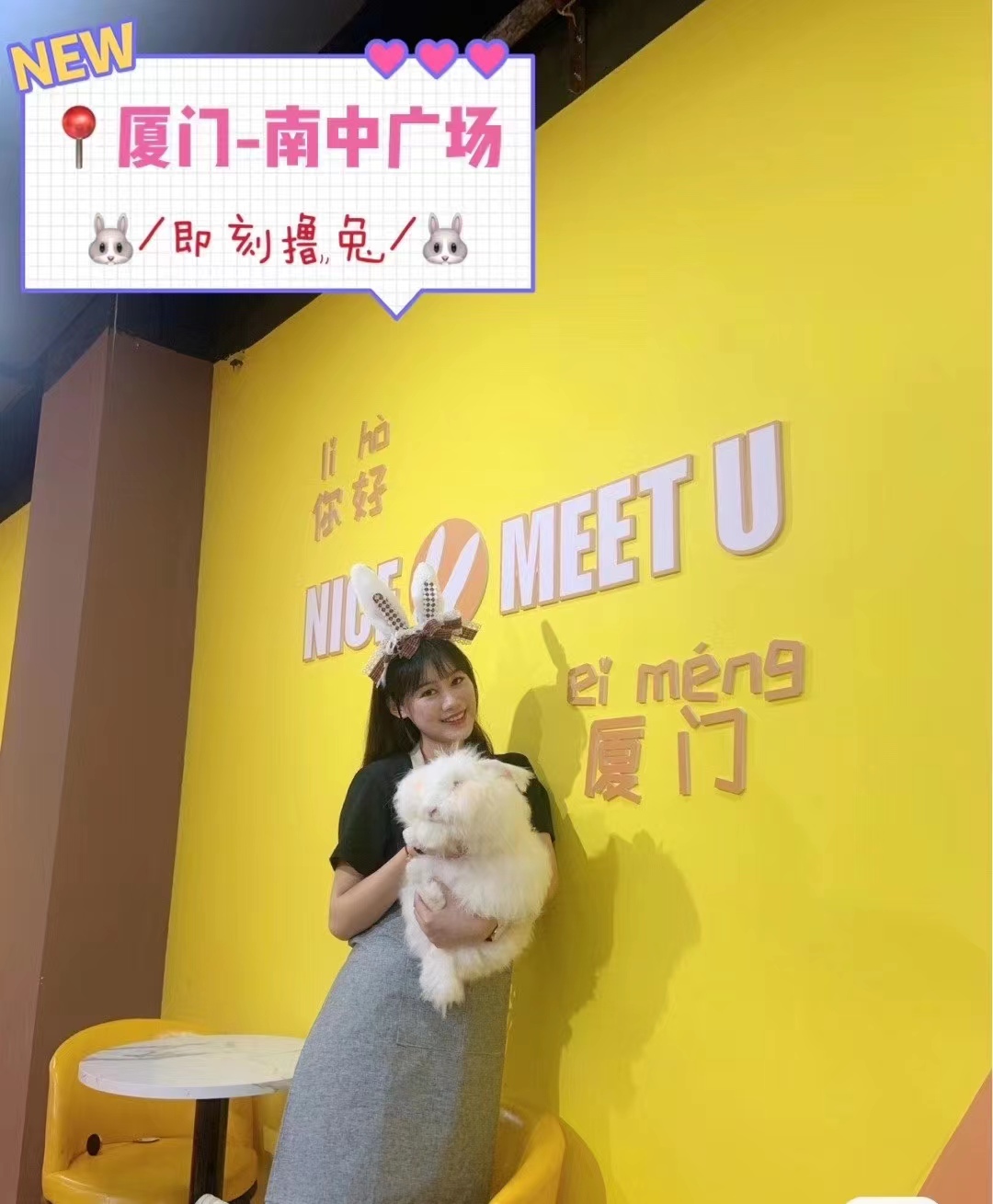 廈門(mén)-南中廣場(chǎng)安哥拉兔體驗(yàn)館