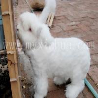 1516083866783.jpg 20120601ZrXEcs.jpg